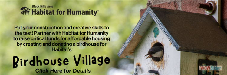 Habitat for Humanity Birdhouse Auction